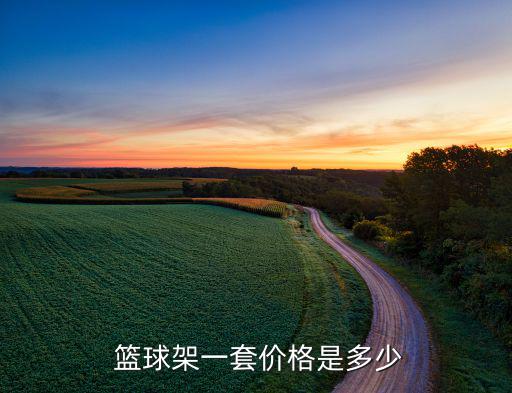 標(biāo)準(zhǔn)籃球架的價(jià)格是多少,籃球場(chǎng)地不能缺籃球架