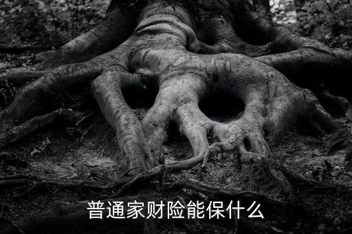 文體娛樂用品,保險(xiǎn)合同保障范圍包括家庭日常生活開銷