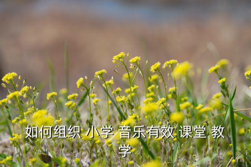 如何組織 小學(xué) 音樂(lè)有效 課堂 教學(xué)
