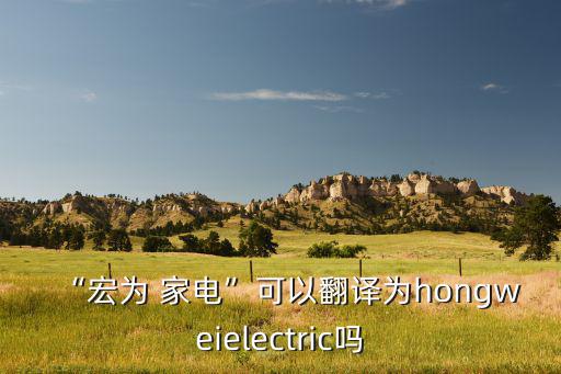 家電商場的英文,武漢出現(xiàn)第二起疑似病例武漢新增14起病例