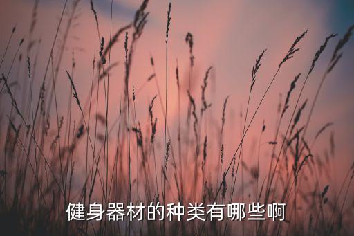 健身器材的種類有哪些啊