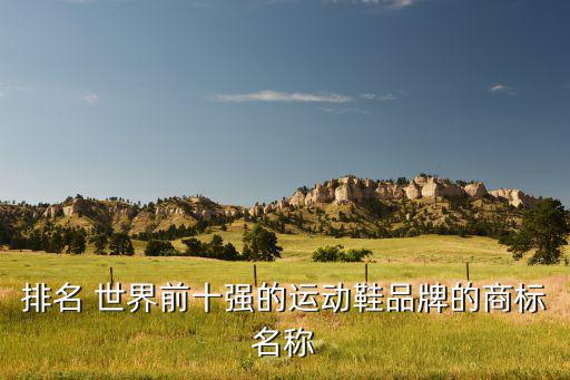 世界上所有品牌的鞋的標(biāo)志,關(guān)于銳步和阿迪達斯的對比