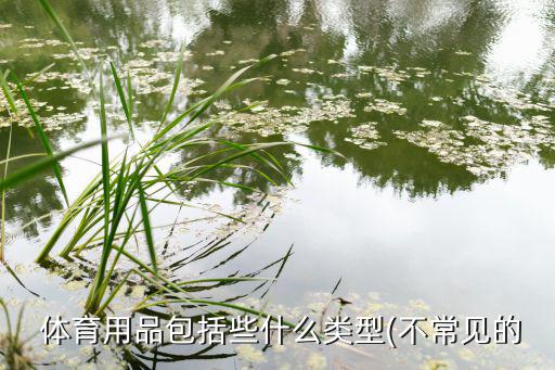  體育用品包括些什么類(lèi)型(不常見(jiàn)的