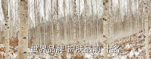 世界品牌 護膚品前 十名