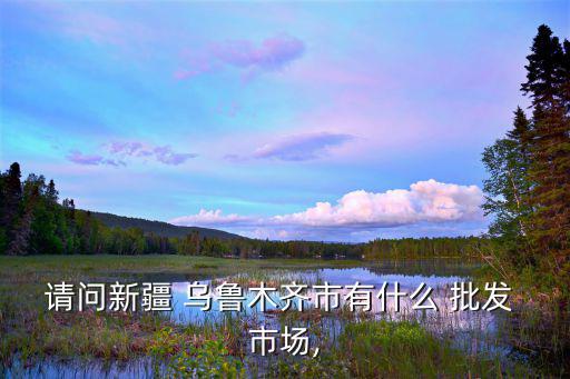 請問新疆 烏魯木齊市有什么 批發(fā) 市場,