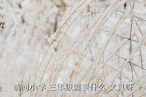 請(qǐng)問(wèn)小學(xué) 三年級(jí)需要什么 文具呀