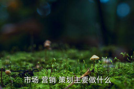  市場(chǎng) 營(yíng)銷 策劃主要做什么