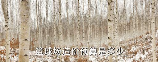 籃球設(shè)施價(jià)格,籃球field建筑材料有哪些?
