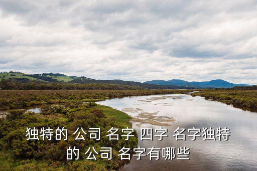 獨特的 公司 名字 四字 名字獨特的 公司 名字有哪些