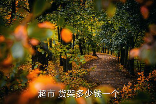  超市 貨架多少錢一個