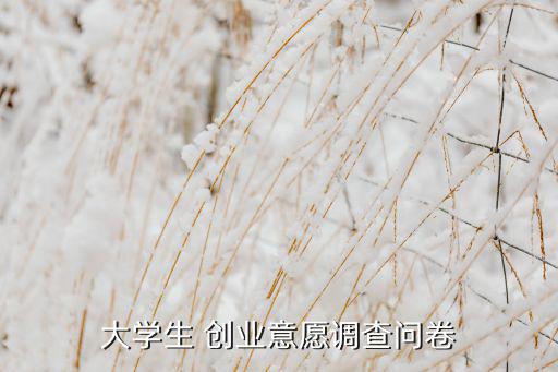 大學(xué)生 創(chuàng)業(yè)意愿調(diào)查問卷