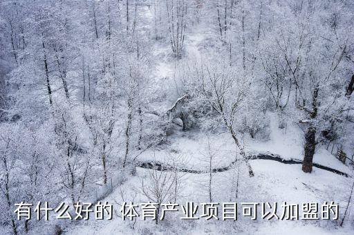 有什么好的 體育產(chǎn)業(yè)項目可以加盟的