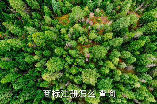 商標(biāo)注冊怎么 查詢