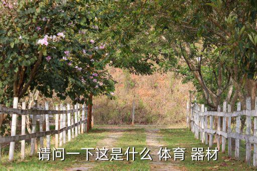 請問一下這是什么 體育 器材
