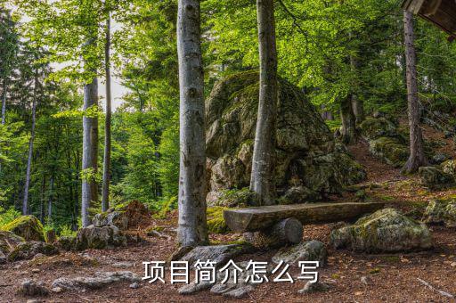  項(xiàng)目簡(jiǎn)介怎么寫(xiě)