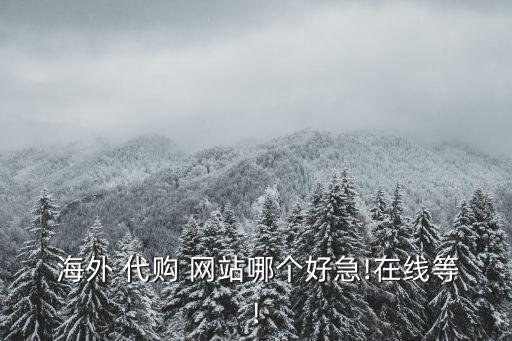  海外 代購 網(wǎng)站哪個好急!在線等!