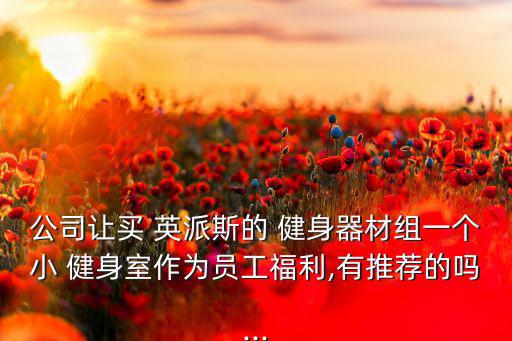 公司讓買 英派斯的 健身器材組一個小 健身室作為員工福利,有推薦的嗎...