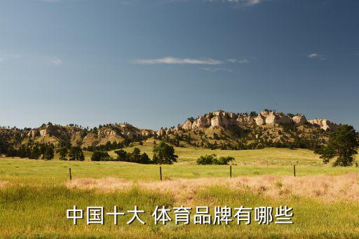 中國四大體育用品牌有哪些,中國十大建筑:你好，武漢中國福建