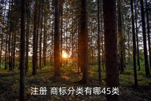 注冊(cè) 商標(biāo)分類(lèi)有哪45類(lèi)