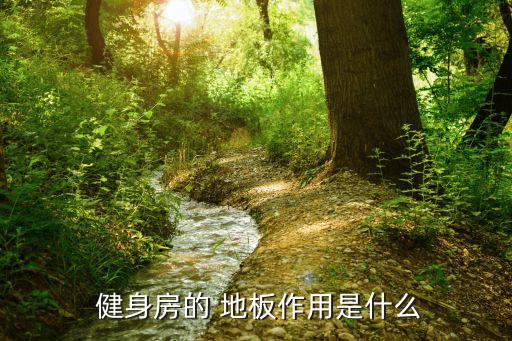 健身房地板設(shè)計,健身房地板四大優(yōu)點:吸音和隔音效果佳
