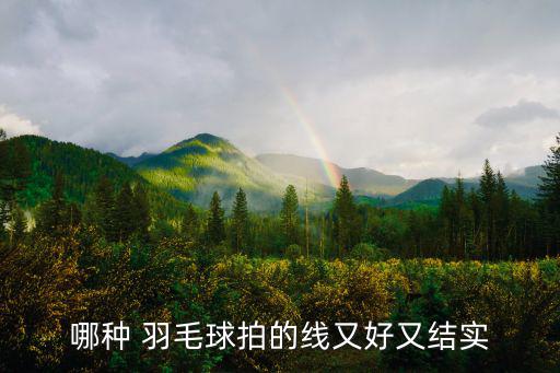 哪種 羽毛球拍的線又好又結(jié)實