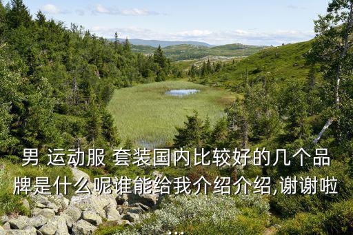 男 運(yùn)動(dòng)服 套裝國(guó)內(nèi)比較好的幾個(gè)品牌是什么呢誰(shuí)能給我介紹介紹,謝謝啦...