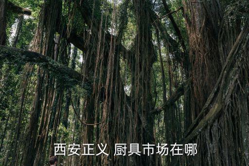  西安正義 廚具市場在哪