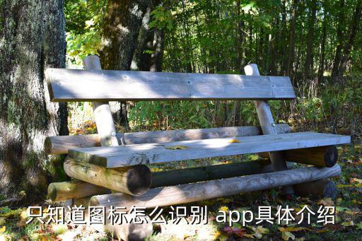 只知道圖標(biāo)怎么識(shí)別 app具體介紹