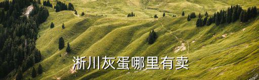 淅川哪里賣體育用品,體育用品店鋪的經(jīng)營范圍