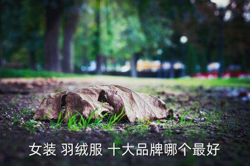 女裝 羽絨服 十大品牌哪個(gè)最好
