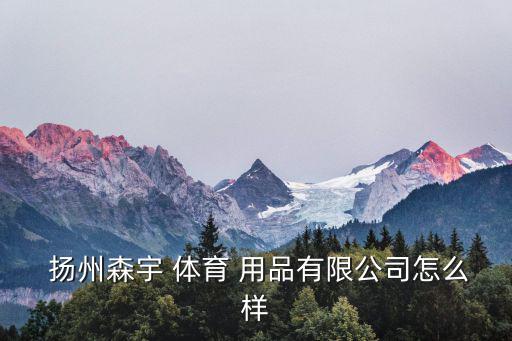 揚(yáng)州體育用品加工廠,揚(yáng)州森宇體育用品有限公司查看更多信息