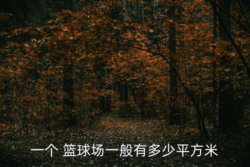 一個(gè) 籃球場一般有多少平方米