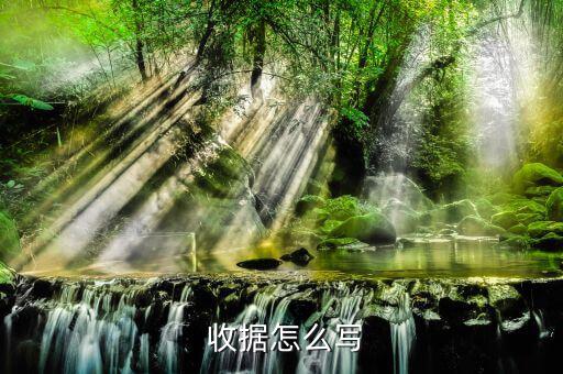 體育用品收據(jù)怎么寫(xiě),集合收據(jù)須具備以下三點(diǎn)