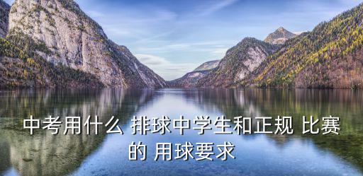 中考用什么 排球中學(xué)生和正規(guī) 比賽的 用球要求