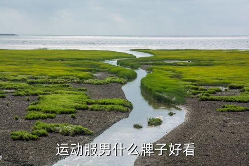 高檔中年男運動服品牌套裝,阿迪達斯運動服裝三大亮點之一