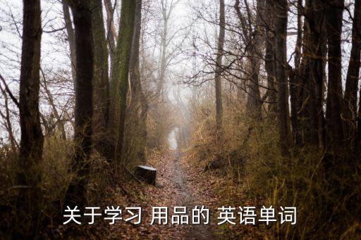 學(xué)校用品英語(yǔ)怎么讀,新加坡學(xué)生如何學(xué)習(xí)英語(yǔ)