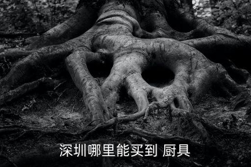 廣東不銹鋼廚具批發(fā)市場(chǎng),深圳最大廚具批發(fā)市場(chǎng)在哪里?