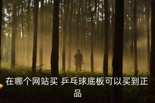 在哪個網(wǎng)站買 乒乓球底板可以買到正品