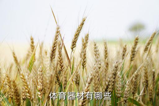 體育用品有哪些副業(yè)小項(xiàng)目,體育器材分類方法