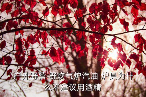  戶外野營 野炊氣爐汽油 爐具為什么不建議用酒精