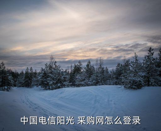 中國電信陽光 采購網(wǎng)怎么登錄
