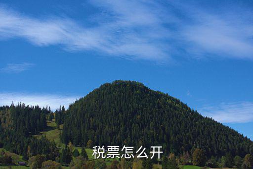  稅票怎么開(kāi)