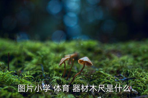 圖片小學 體育 器材木尺是什么