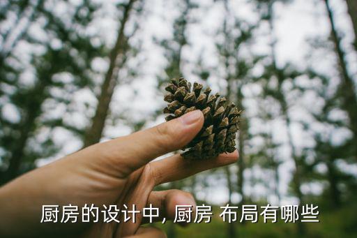  廚房的設(shè)計(jì)中, 廚房 布局有哪些