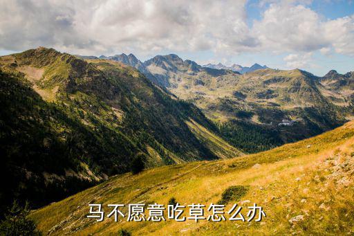 馬不愿意吃草怎么辦