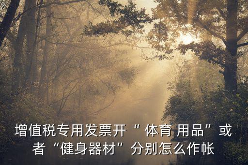 增值稅專用發(fā)票開“ 體育 用品”或者“健身器材”分別怎么作帳