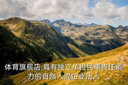 喬丹體育旗艦店,具有獨(dú)立承擔(dān)民事責(zé)任能力的自然人或企業(yè)法人