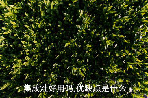 集成灶的好處是什么,集成爐灶優(yōu)點:操作起來方便安全