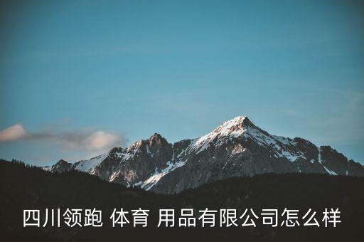 四川領(lǐng)跑 體育 用品有限公司怎么樣