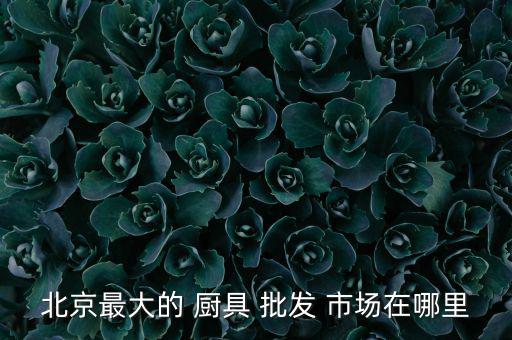 附近最大的廚具批發(fā)市場,中國最大的火鍋批發(fā)市場是哪個?